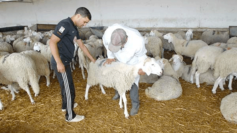 البياطرة في وقفة احتجاجية للمطالبة بحق الترقية حسب الأقدمية