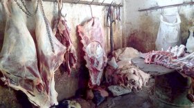 اكتشاف مذبح سري وضبط لحوم فاسدة