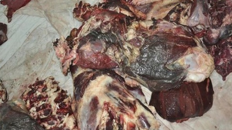 حجز 40 كلغ من اللحوم فاسدة في بوسعادة
