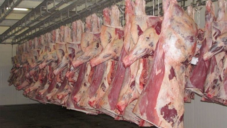 إغراق السوق باللحوم المستوردة سيخفض الأسعار في رمضان فقط