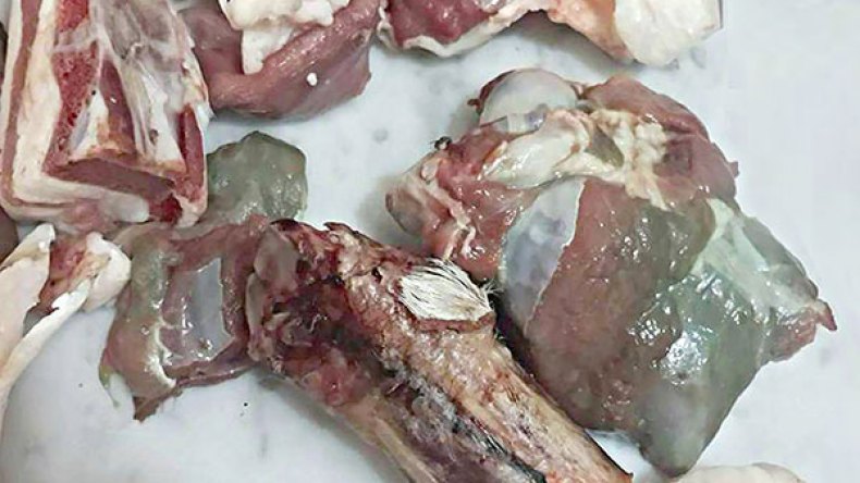 تسمّمات بالجملة بسبب الأضاحي الفاسدة