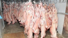 فدرالية حماية المستهلك تحذر من ارتفاع أسعار اللحوم في رمضان