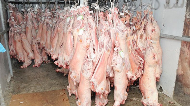 فدرالية حماية المستهلك تحذر من ارتفاع أسعار اللحوم في رمضان