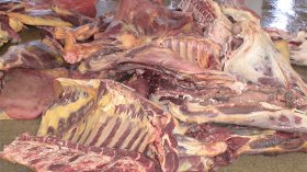 موظفون متهمون بالتستر على فضيحة ترويج لحوم فاسدة