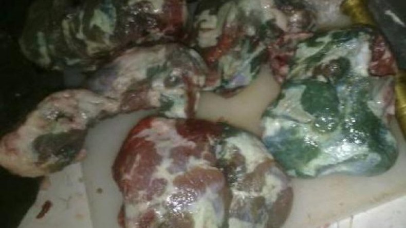 نشر نتائج تحقيق حول فساد لحوم الأضاحي نهاية الأسبوع