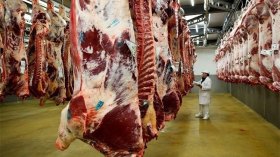 بولنوار: جمعية التجار ترحّب باستيراد اللحوم من دول الجوار