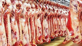 الحكومة تستورد 28 ألف طن من اللحوم الحمراء في 5 أشهر