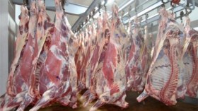 حجز 11 قنطارا من اللحم المستورد بأقبو في بجاية