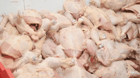 Saisie de deux quintaux de viande avariée à Tlemcen