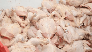 Saisie de deux quintaux de viande avariée à Tlemcen