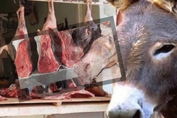 Ministère du Commerce: «La viande d’âne était destinée aux étrangers!»