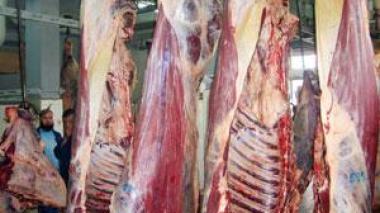 Les agriculteurs lancent un appel au gouvernement algérien pour freiner la chute vertigineuse des prix de la viande sur le marché