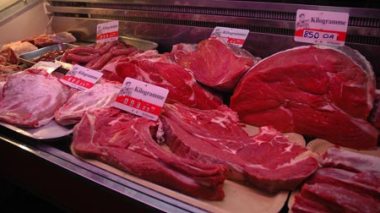 Algeria postponed importing cattle indefinitely