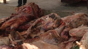 لحوم برائحة الجيفة وأخرى مرشوشة بغبار الإسمنت