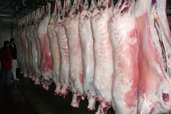 Aborted Attempt to Poison Algerians With 10 Tons of Rotten Red Meat
