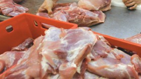 مستورد موّن الجزارين والمطاعم باللحوم والأسماك الفاسدة