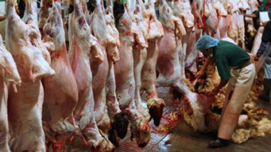 Réguler le marché des viandes durant le ramadhan (SGP-Proda)