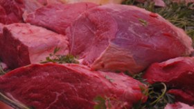 تسويق  500  طن  من  اللحوم  والأسماك  المجمدة  منذ  بداية  رمضان