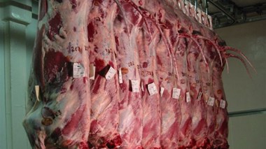 25 000 tonnes de viandes livrées à l’Algérie en prévision du Ramadhan