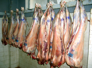 Algeria agriculture ministry accused of hindering Sudan meat import