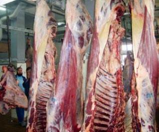 Arrivée des premières quantités de viande indienne à Alger :  80 points de vente seront chargés de la distribution à travers le pays