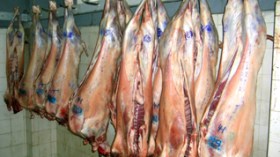 Le ministère de l’agriculture accusé d’entraver l’importation de viande du Soudan