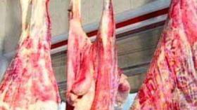 Le secrétaire général de l’union des agriculteurs à Echorouk : « Si le bétail du Soudan  souffrait d'une quelconque maladie, le peuple saharien en serait la première victime»