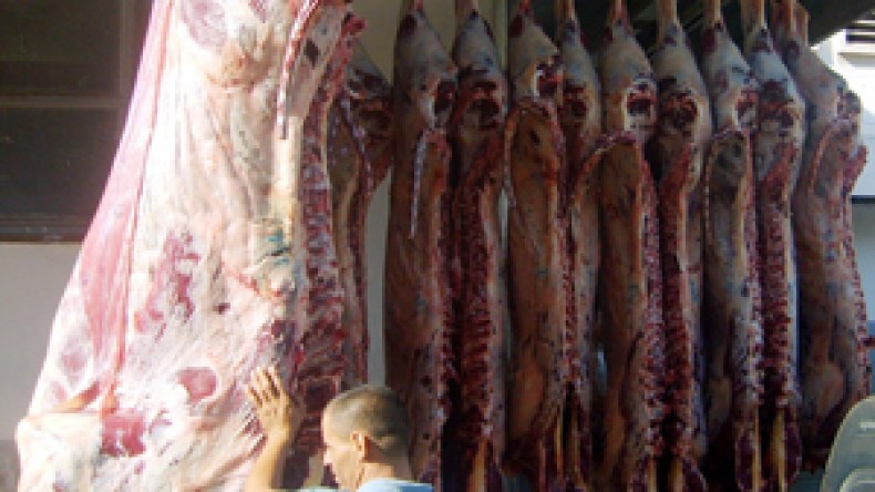 الحكومة تشرع في تخزين اللحوم الحمراء والبيضاء