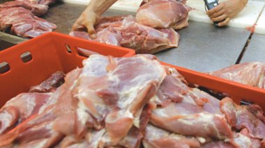 Il a distribué ses « poisons » à Alger, Blida et Médéa:  un importateur approvisionne en viande avariée des boucheries et des restaurants