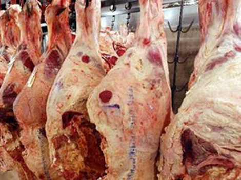 Blida: saisie de 5 quintaux de viandes avariés, fermetures de 59 locaux
