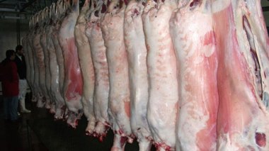 Saisie de 10 quintaux de viande avariée à Alger