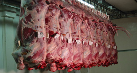 Viandes fraîches: importations en hausse durant les cinq premiers mois de 2013