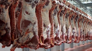 Chelghoum: «Les importations de la viande brésilienne sont surveillées»