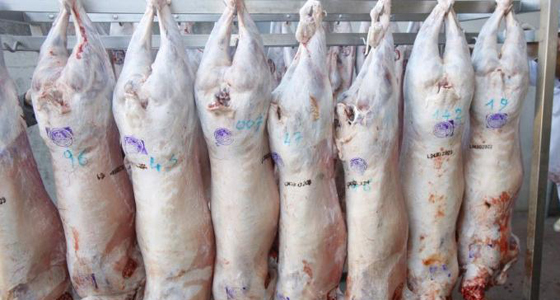 Carcass meat for Algerian and Muslim Immigrants under Paris Mosque Fatwa