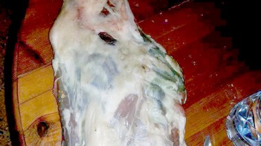 Mutton issue: investigation results to be released this week