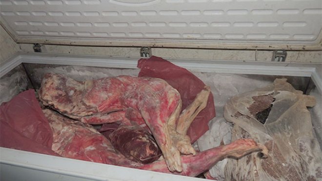ضبط 10 قناطير من اللحوم مخزنة في مرحاض بتبسة
