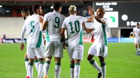 قافلة “محاربي الصحراء” على مرمى حجر من أدغال الكاميرون