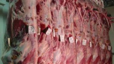 Ramadhan 1432 : importation de viande rouge d’Espagne