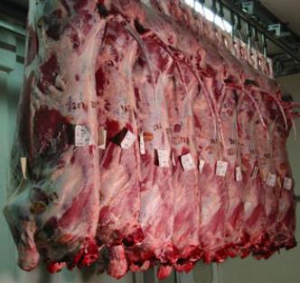 Ramadhan 1432 : importation de viande rouge d’Espagne
