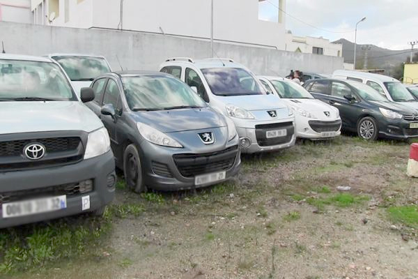 Gendarmerie dismantles stolen cars smuggling network in Algeria