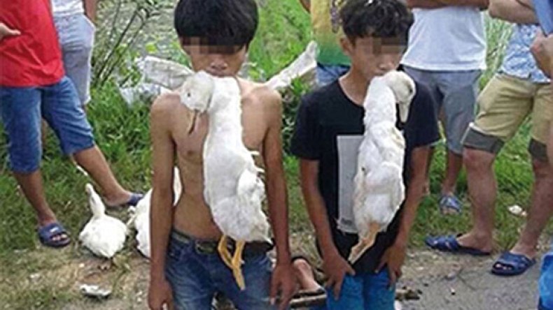 عقوبة غريبة لسارقي بط في قرية صينية