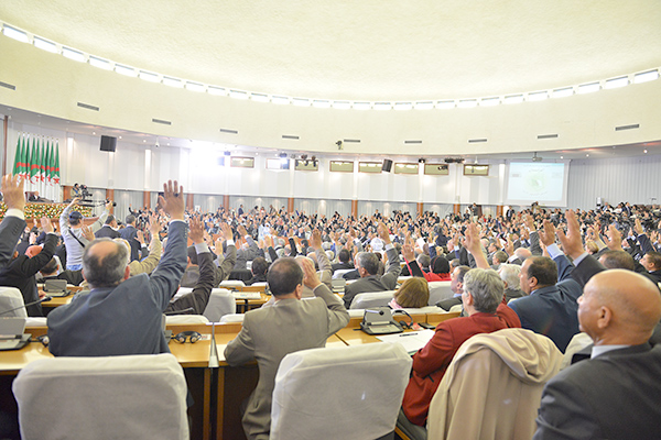 Parliament passes Algeria’s new constitution