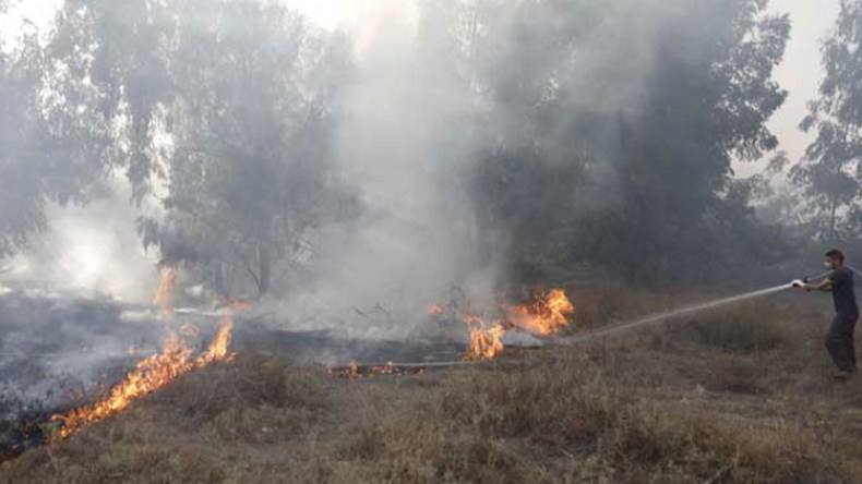 بالونات غزة تحرق ثلاثة آلاف دونم في يوم واحد