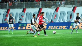 النّسر الأسود ينقر سوسطارة ويُعمّق جراحها