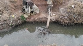 إدانة فلاحين قاموا بسقي البطاطا بالمياه القذرة في قالمة