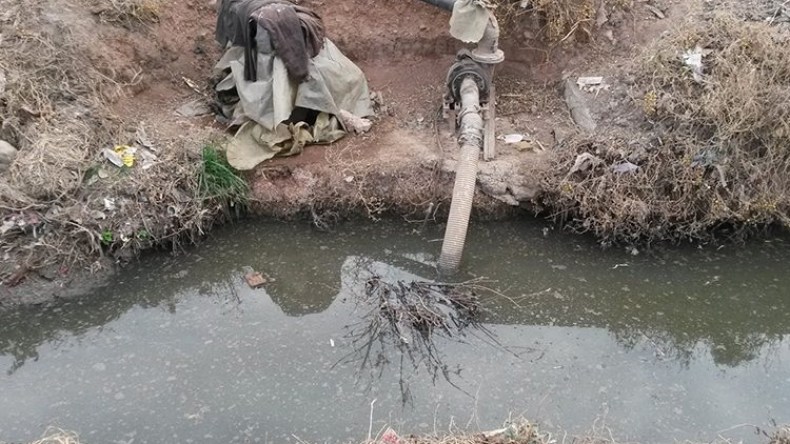 إدانة فلاحين قاموا بسقي البطاطا بالمياه القذرة في قالمة
