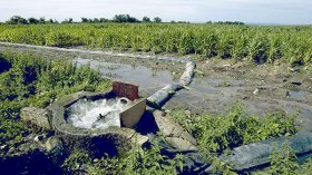 “الزمياطي” ليس حلا!