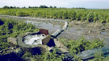 “الزمياطي” ليس حلا!