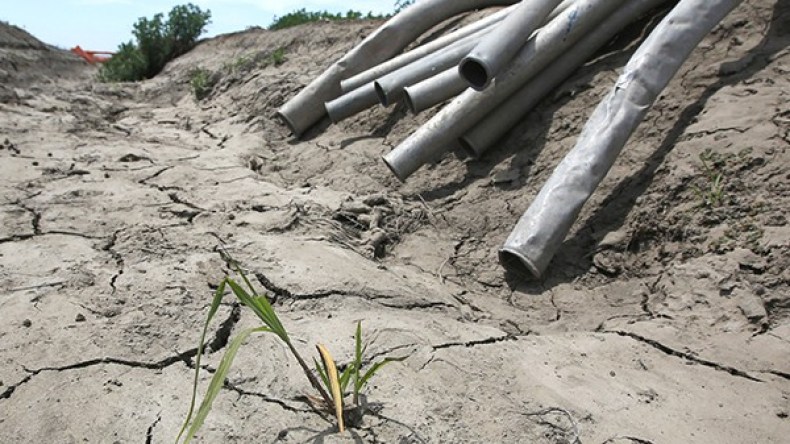 الأئمة يدعون إلى إقامة صلاة استسقاء