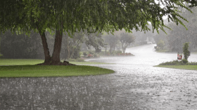 استمرار الأمطار طوال الأسبوع